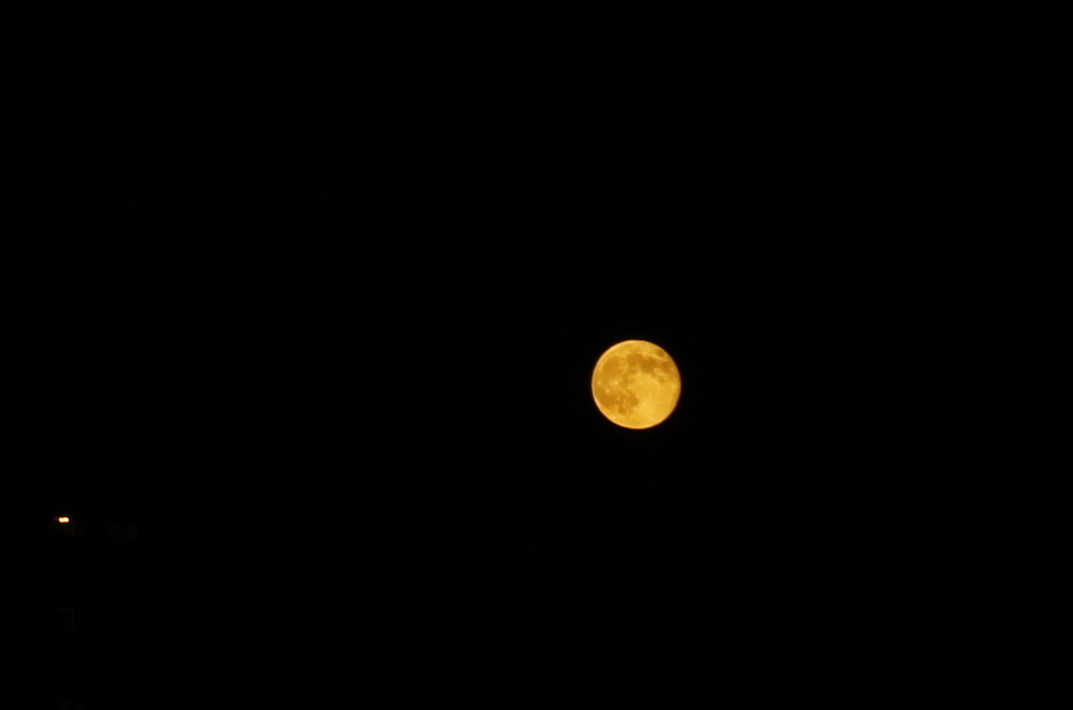 f0054610_214829.jpg