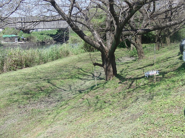 貫通! 24日の「彼岸花ウォーク」に備えた滝川の草刈り_f0141310_7144795.jpg