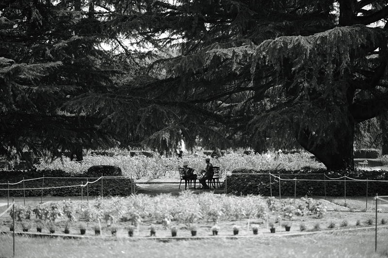 見当外れの府立植物園 其の二_f0032011_19403296.jpg
