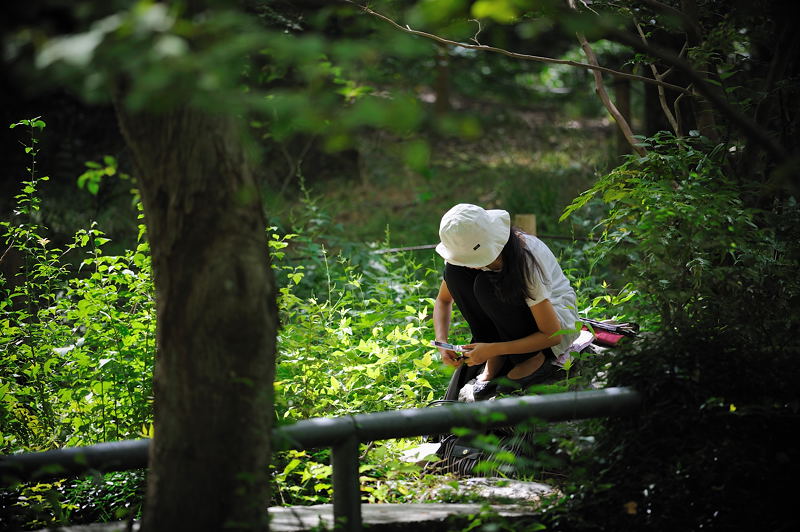 見当外れの府立植物園 其の二_f0032011_1944164.jpg