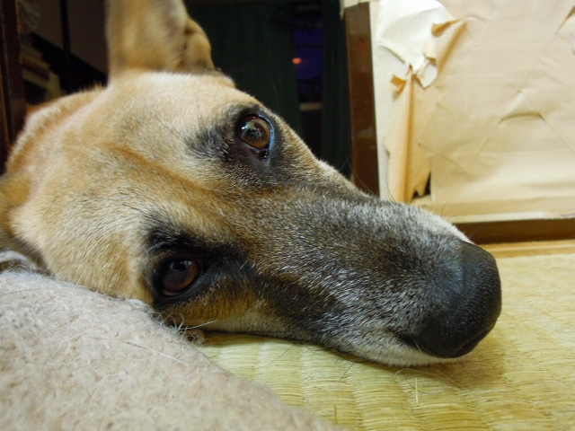 f0218911_144890.jpg