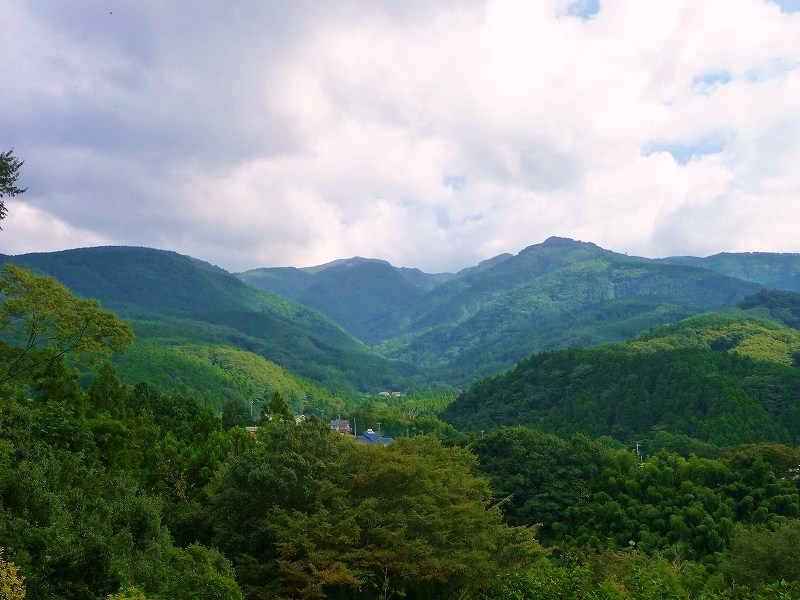 f0182513_8303868.jpg