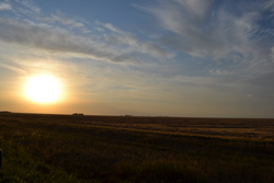 a0238314_1215385.jpg