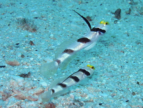 f0041021_92559.jpg