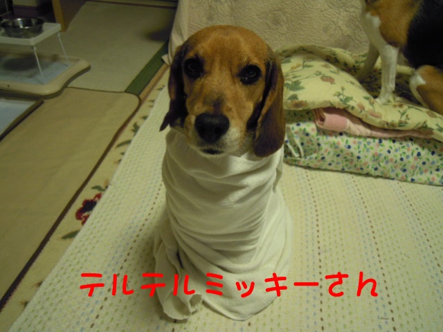 c0166622_12465825.jpg
