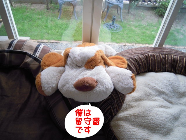 c0166622_1249282.jpg