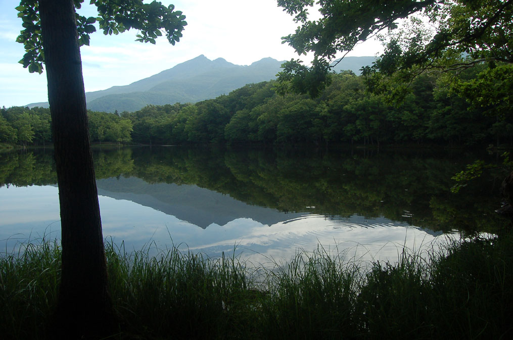 b0142428_20235684.jpg