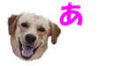e0138031_6523859.gif