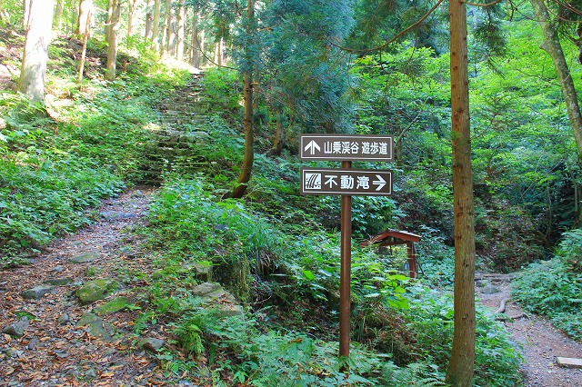 ９月１１日　蒜山　山乗渓谷_a0045932_9171930.jpg