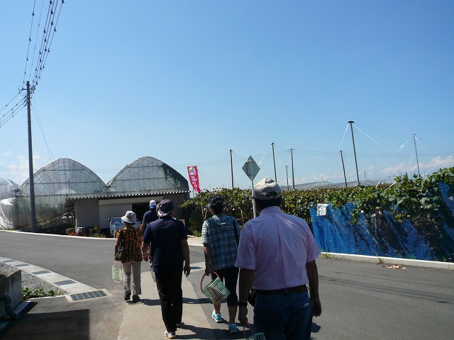 a0006033_8483388.jpg