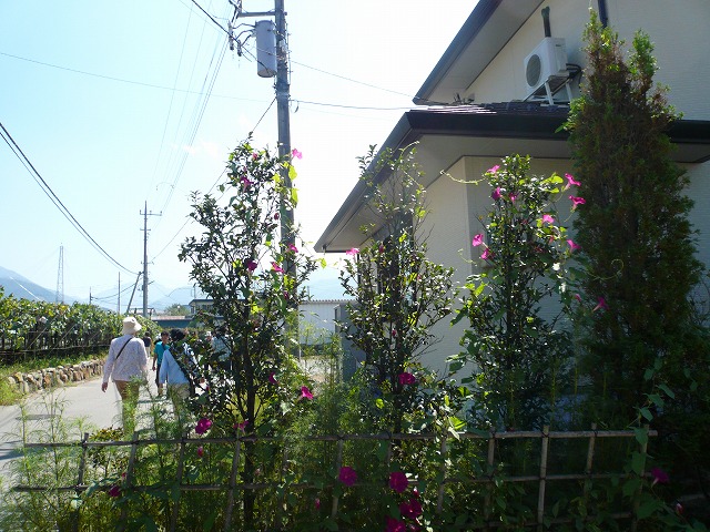 a0006033_8485391.jpg