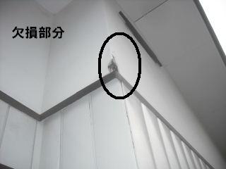 諸々・・・・・・・・_f0031037_17365973.jpg