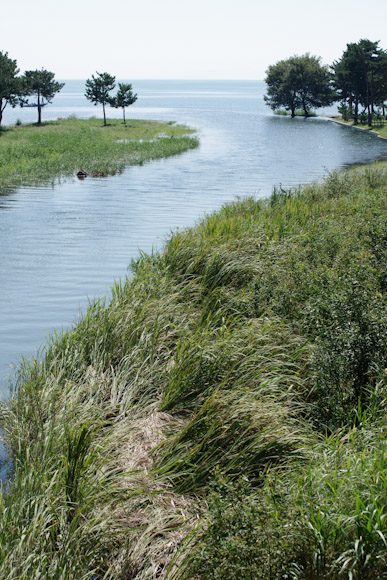 f0032137_2041131.jpg