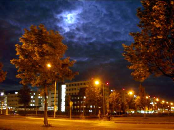 d0047851_1371177.jpg