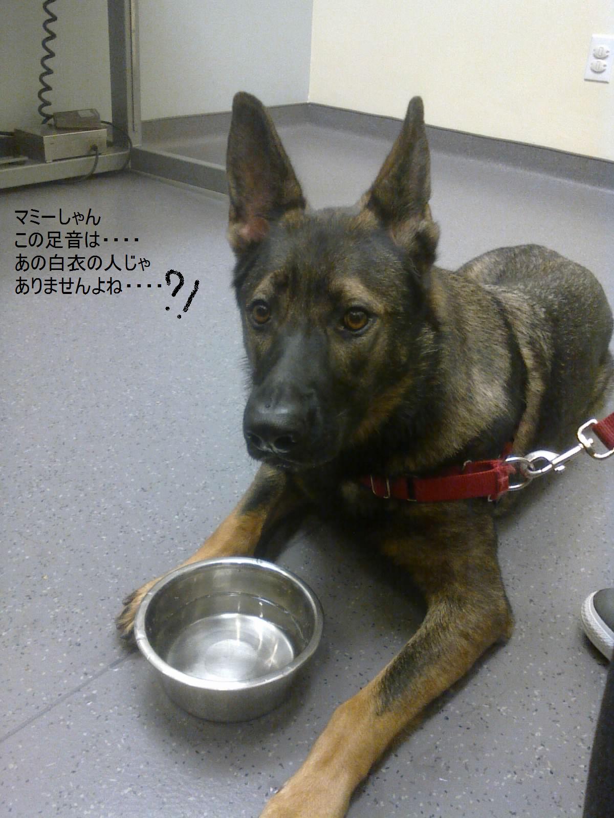 c0200153_8194658.jpg