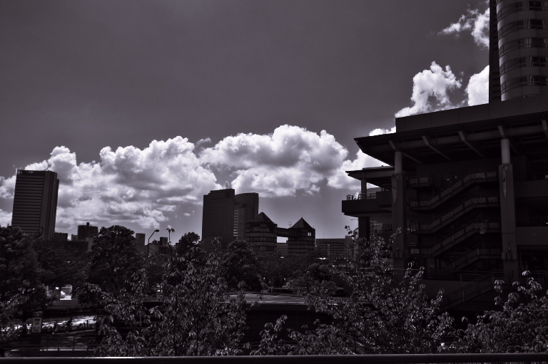夏空と白い雲　　2011-9-15_d0237959_2059968.jpg