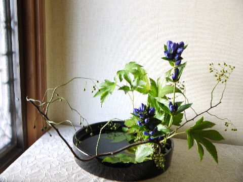 e0086864_0441126.jpg
