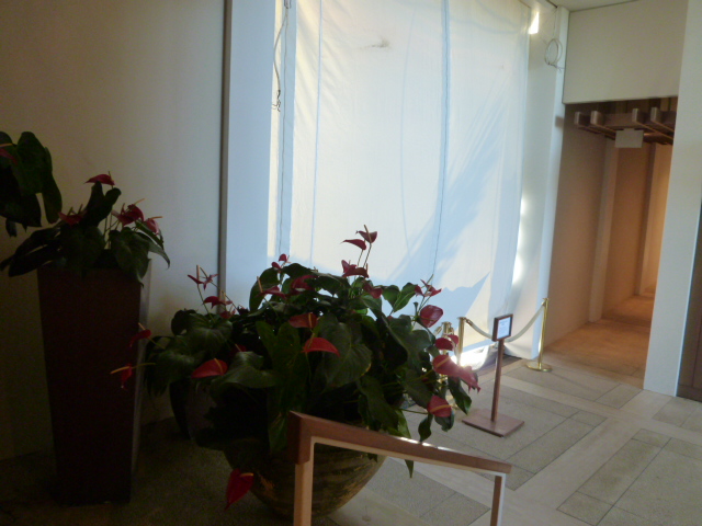 朝は花の香りが強い_c0100865_274890.jpg