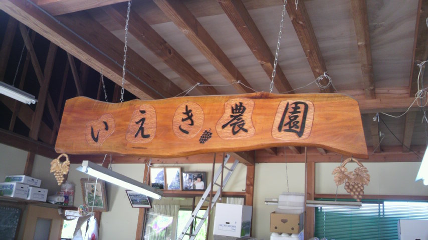 秋の収穫_a0200771_14531924.jpg