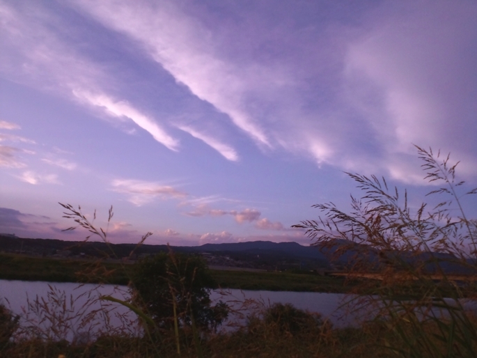 c0069372_9433735.jpg