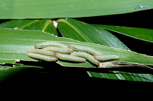 d0019074_6471528.jpg