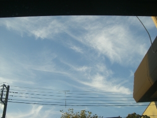 破片化と全体性・・・???_a0053480_930317.jpg