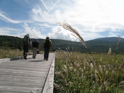 鎌沼の秋は始まっていた_a0096989_21581322.jpg