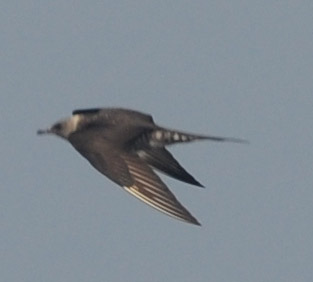 f0159390_13584736.jpg