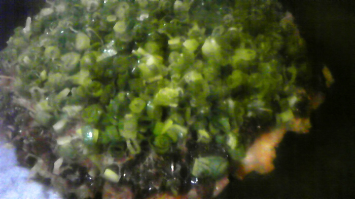c0186691_1336813.jpg