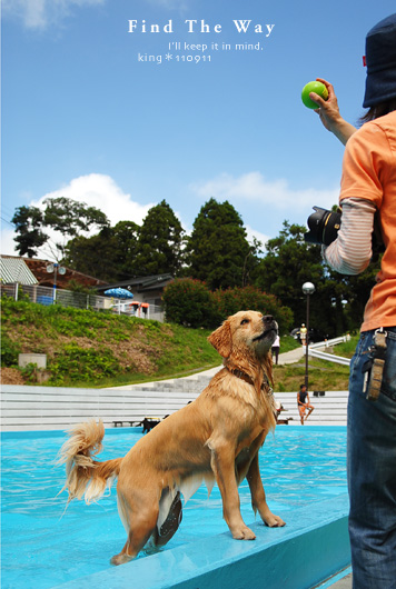 【犬的散歩日和】茨城・涸沼 〜 PRIMELAND ドッグランひぬま 2/3_f0054594_2024108.jpg