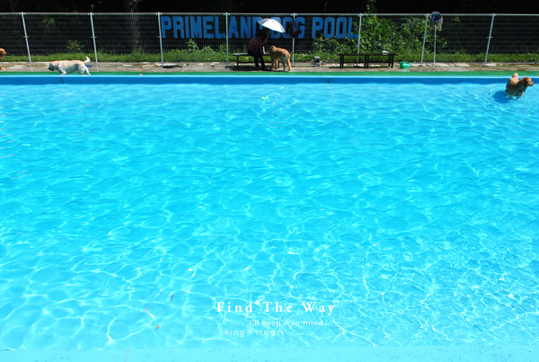 【犬的散歩日和】茨城・涸沼 〜 PRIMELAND ドッグランひぬま 2/3_f0054594_20293886.jpg