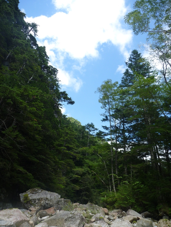b0229003_205496.jpg