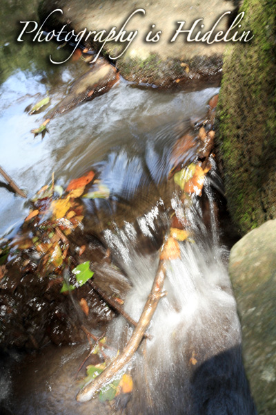 c0011204_23393613.jpg