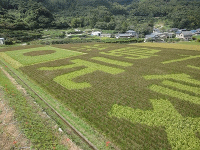 d0018704_22615100.gif