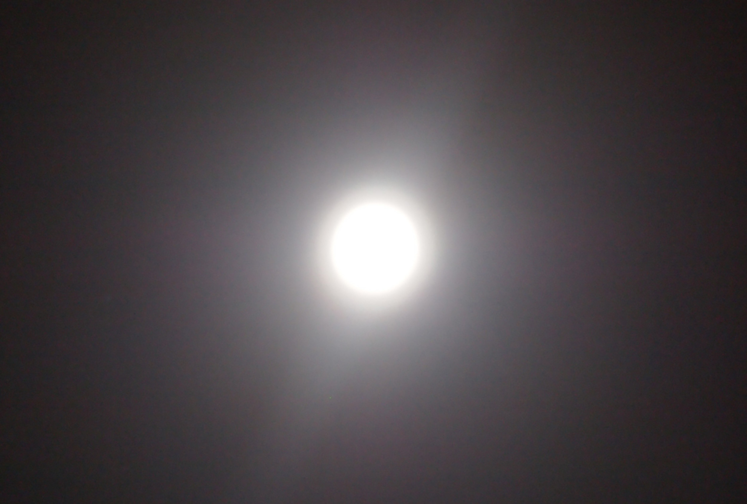 a0058605_744570.jpg