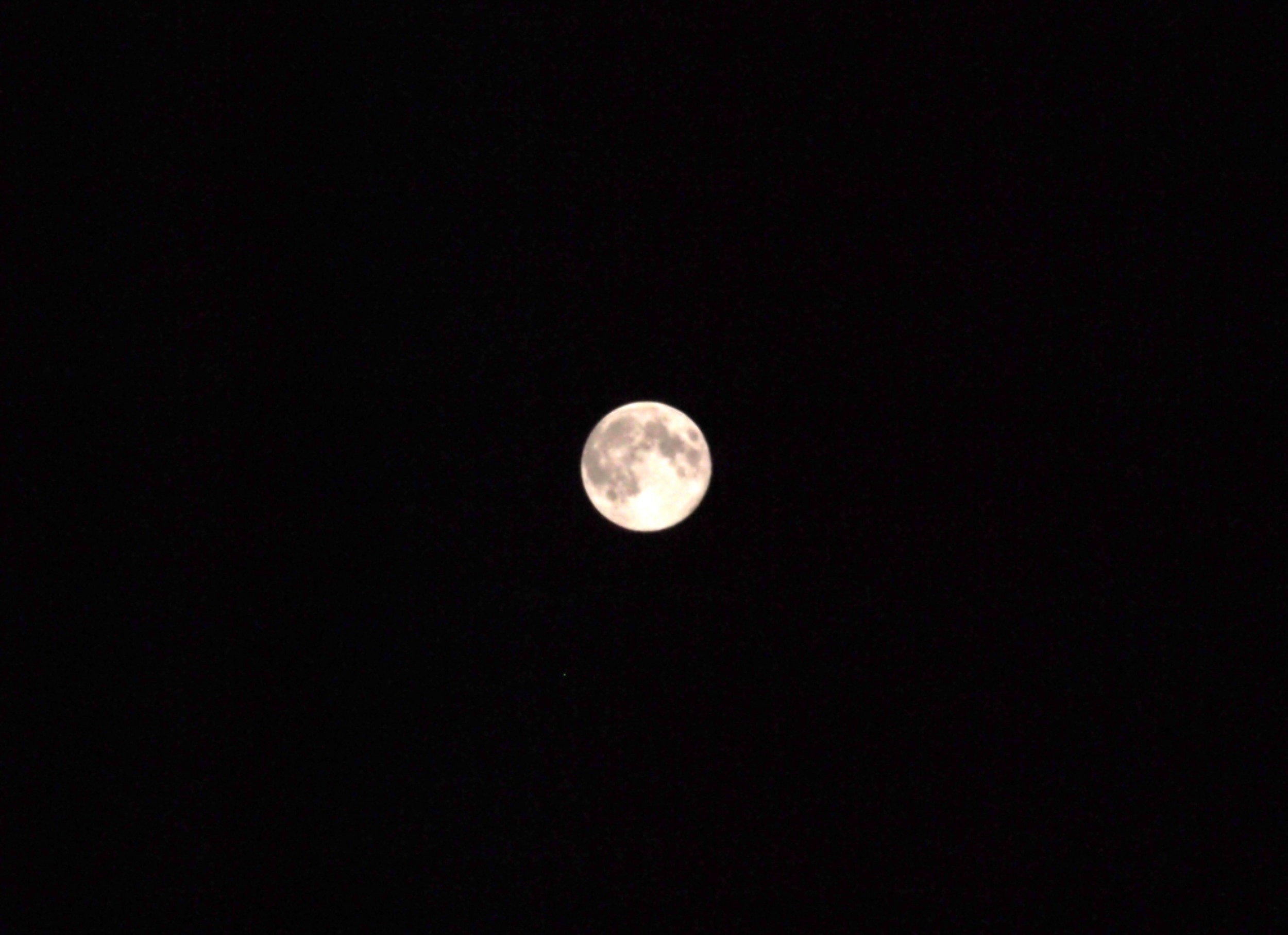 a0058605_7451823.jpg