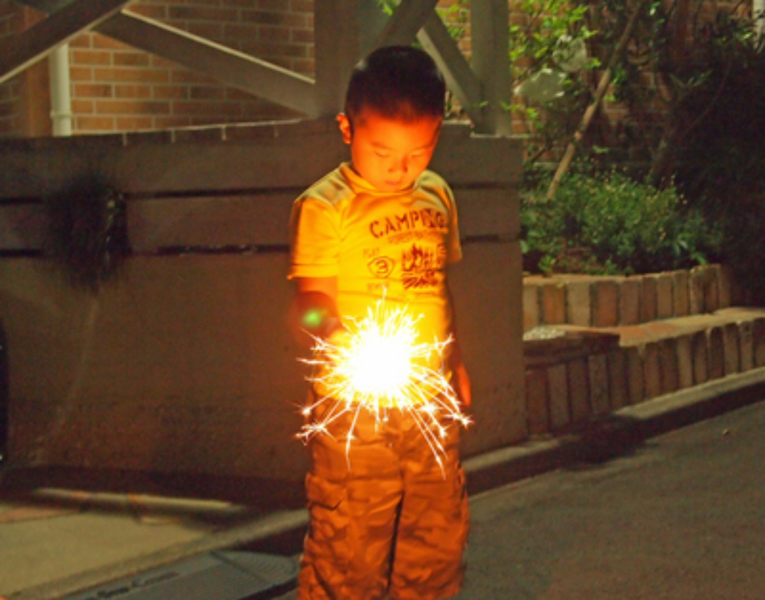 a0058605_748422.jpg