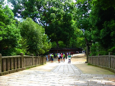 スタッフ夢舞い_a0036808_13175219.jpg