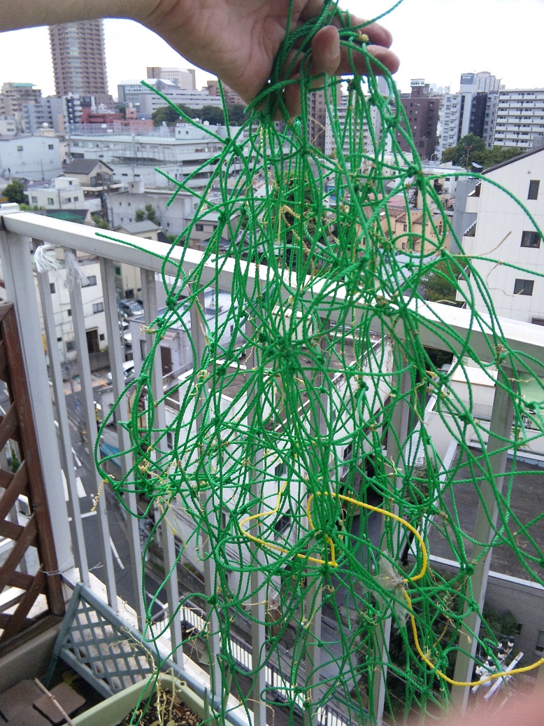 c0003409_15514521.jpg