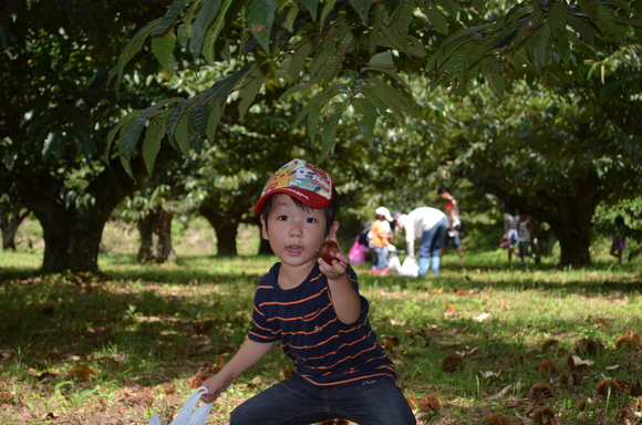 a0201316_73176.jpg