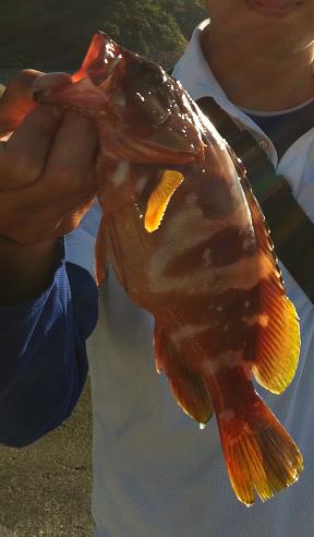 b0074017_8555651.jpg