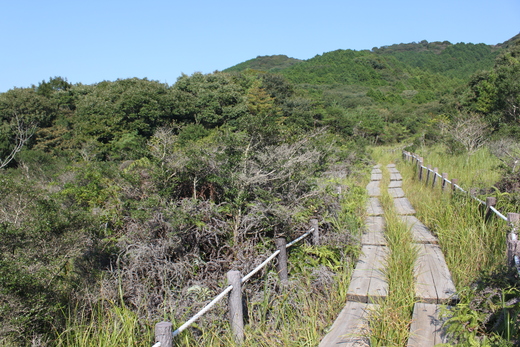 a0116525_855837.jpg