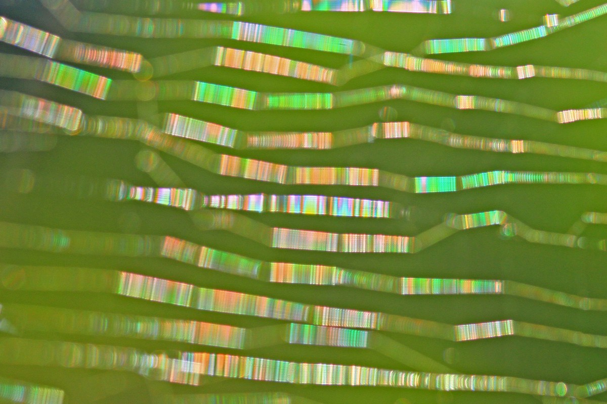 c0104227_17183579.jpg