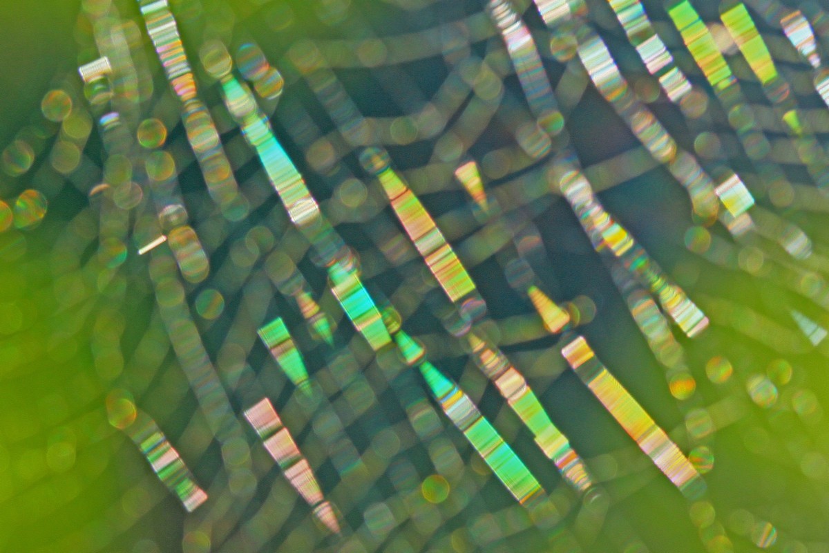 c0104227_17193936.jpg