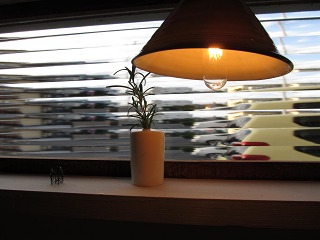 e0202031_21494697.jpg