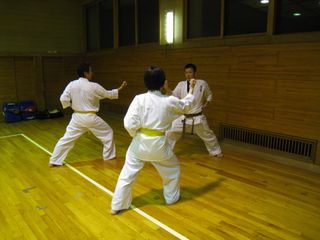 麻生道場 型、組手、型分解!_c0118332_22353119.jpg