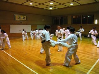 麻生道場 型、組手、型分解!_c0118332_22362100.jpg