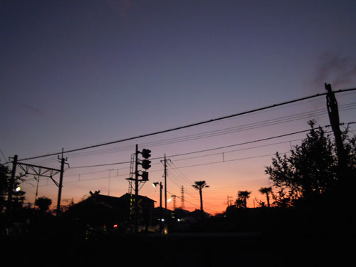 夜の顔_e0097534_113292.jpg