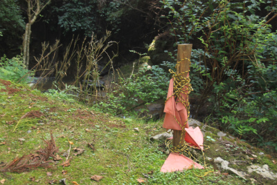 d0055236_14355039.jpg