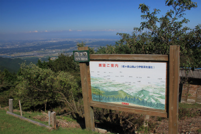 d0055236_1541553.jpg